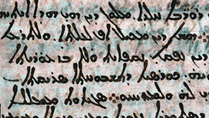 A section of a page from CCR during the multispectral analysis.